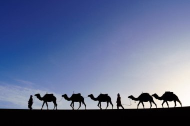 Merzouga, Fas - 2 Nisan 2023: Develerin silueti ve idarecisi, Merzouga 'nın kum tepelerinde, Sahra Çölü, Fas