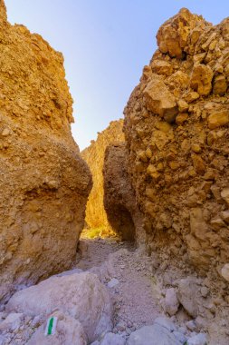 Çöl manzarası ve Salvadora vadisinde (vadi, nehir yatağı) bir patika, Ölü Deniz kıyısı, Judaean Çölü, güney İsrail