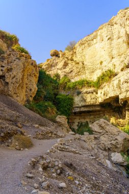 Ein Gedi Doğa Rezervi 'ndeki, Güney İsrail, Ölü Deniz yakınlarındaki, David deresi boyunca uzanan patika ve manzara.