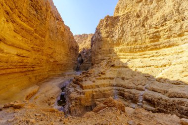 Çölün manzarası ve uçurumları, kış su birikintileriyle. Ölü Deniz Kıyısı, Judaean Çölü, Güney İsrail