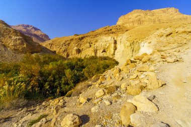 View of the landscape of the desert Bokek valley, Dead Sea coast, Judaean Desert, southern Israel clipart
