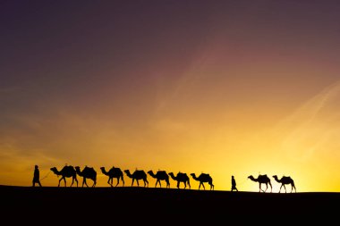 Merzouga 'nın kum tepelerinde, Sahra Çölü' nde, Fas 'ta develerin ve eğitmenlerin gündoğumu silueti.