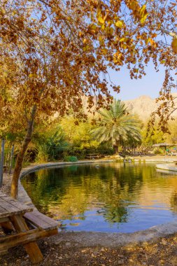 Einot Tzukim 'de (Ein Feshkha), Ölü Deniz' in kuzey batı kıyısında, Güney İsrail 'de palmiye ağaçları ve uçurumlarla dolu bir havuz manzarası