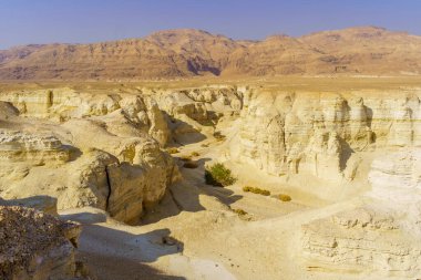 Peratzim Çölü manzarası, Lissan Marl kayalıklarına oyulmuş kanyon. Ölü Deniz Kıyısı, Judaean Çölü, Güney İsrail