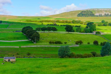 Manzara ve kırsal alan Yorkshire Dales Ulusal Parkı, Kuzey Yorkshire, İngiltere, İngiltere