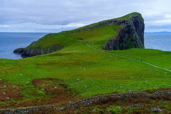 Neist Point, Skye Adası, Inner Hebrides, İskoçya, İngiltere 'de koyun ve kayalıkların manzarası