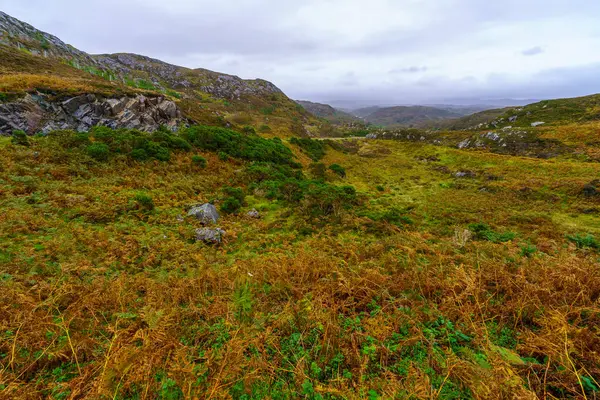 İskoçya, İngiltere 'deki Assynt Gölü manzarası