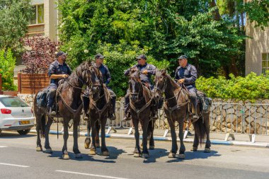 Hayfa, İsrail - 21 Haziran 2024: İsrail 'in Hayfa kentindeki her yıl düzenlenen LGBTQ + cemaatinin polis atlarına bakış