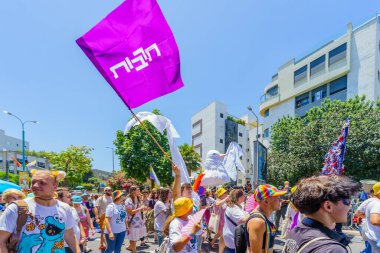 Hayfa, İsrail - 21 Haziran 2024: LGBTQ + cemaatinin yıllık Onur Yürüyüşü, Hayfa, İsrail 'deki çeşitli katılımcıların sembolik barış güverciniyle görüntülenmesi