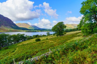 Arazi manzarası ve Crummock Su Gölü, Cumbria, İngiltere, İngiltere