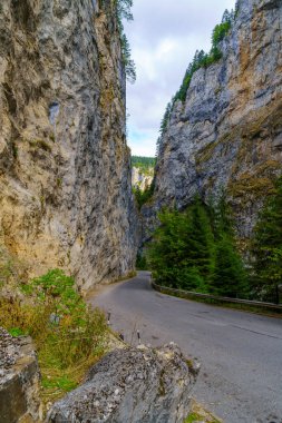 Bulgaristan 'ın güneyindeki Rodop Dağları' ndaki Trigrad Boğazı boyunca uzanan bir yol ve manzara