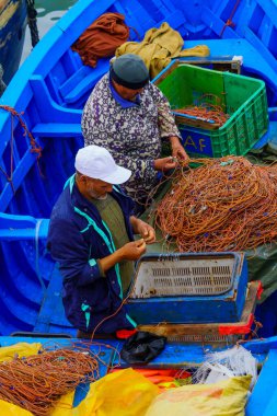 Essaouira, Fas - 07 Nisan 2023: Balıkçılık limanının gün doğumu sahnesi, balıkçılarla birlikte Essaouira (Mogador), Fas