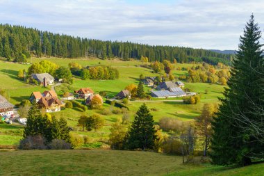 Kara Orman, Baden-Wurttemberg, Güneybatı Almanya 'da bir kır manzarası