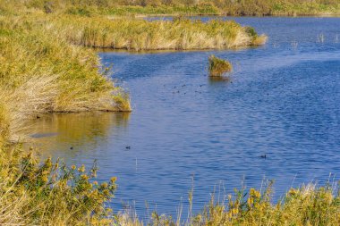 Sodom Tuzu Bataklığı Gözlem Noktası ve Kuş Sığınağı, Ölü Deniz 'in güneyi, Judaean Çölü, Güney İsrail