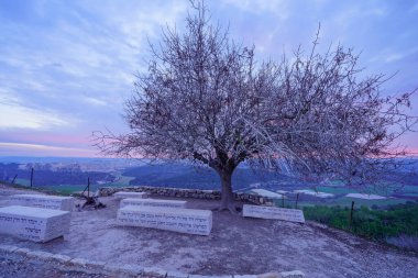 Azekah, Israel - January 16, 2025: Sunrise view of a lone tree, countryside and rolling hills in Tel Azekah, the Shephelah region, south-central Israel. Texts are bible verses regarding king David clipart