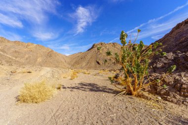 Eilat, Güney İsrail yakınlarındaki çöl dağlarındaki Shlomo Vadisi manzarası