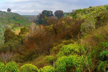 El-Al akıntısının manzarası, bir kış günü, Golan Tepeleri, Kuzey İsrail