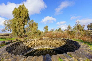 View of Ein Mokesh, Natural water pool in the Golan Heights, Northern Israel. The name means Mine Spring, because it is surrounded by mine fields. clipart