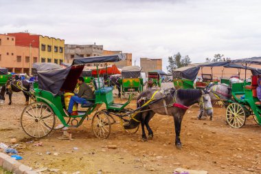 Ait Ourir, Fas - 04 Nisan 2023: Yolcularla birlikte Fas 'ın Ait Ourir kasabasında at arabalarının yerel toplu taşımacılığı