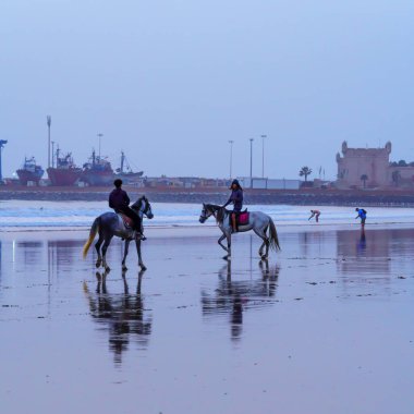 Essaouira, Fas - Nisan 06, 2023: Mavi saat (gün batımından sonra) Essaouira (Mogador), Fas 'ta dört nala koşan at ve binicilerin görüntüsü