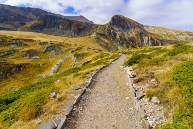 Bulgaristan 'ın güneybatısındaki Rila Ulusal Parkı' ndaki bir patika manzarası