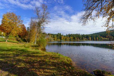 Kara Orman, Baden-Wurttemberg, Güneybatı Almanya 'daki Windgfallweiher Gölü manzarası