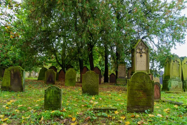 Solucanlar, Almanya - 09 Ekim 2024: Solucanlar, Rhineland-Palatinate, Almanya 'da Yahudi Mezarlığı Kutsal Kum manzarası