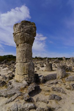 Bulgaristan 'ın doğusundaki Pobitite Kamani Kaya oluşumları (Taş Ormanı) manzarası