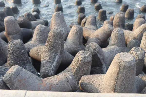 Denizde deniz taşları