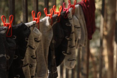 Güneşte kurutma giyim