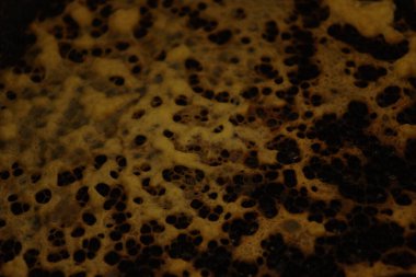 Metin için alanı olan soyut arkaplan