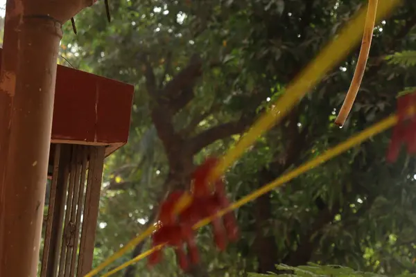 Parkın güzel manzarası