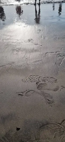 Sahildeki deniz dalgaları