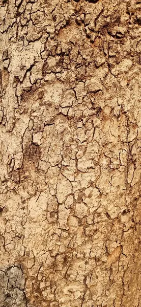 Işıkların bulanık arkaplanı ve bokeh