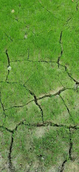 Çatlaklarla dolu bir dünya
