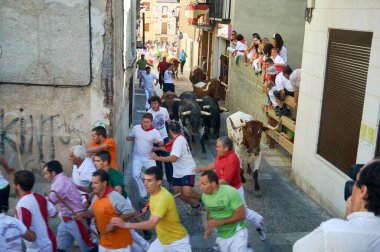 Brihuega, İspanya - 16 Ağustos 2012. Brihuega 'nın geleneksel encierro' sunda boğaların önünde koşan insanların heyecanını yakalayan heyecan verici bir fotoğraf.