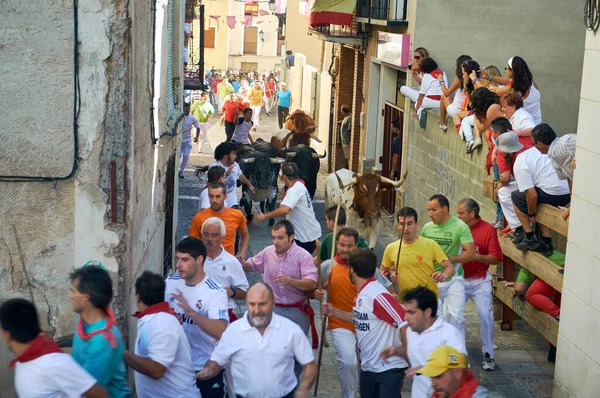 Brihuega Španělsko Srpna2012 Vzrušující Fotografie Zachycující Vzrušení Jak Lidé Běží — Stock fotografie