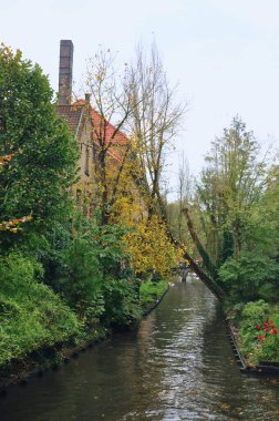Bereketli bir bitki örtüsüyle çevrili sakin bir kanal, uzak evler resim sahnesini tamamlıyor.