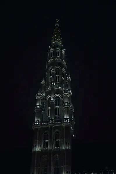 29-10-2014 Brüksel, Belçika - Aydınlatılmış Brüksel Belediye Binası gökyüzüne karşı güzel bir şekilde parlıyor