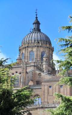 Salamanca Katedrali 'nin kubbesi rüzgar gülü ve etkileyici payandalarıyla dimdik ayakta duruyor.