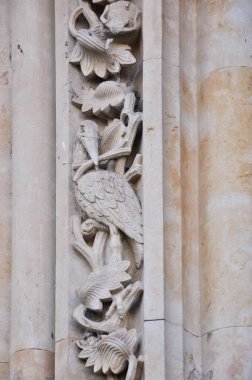 Salamanca Katedrali 'nin girişinde oyulmuş bir leylek karmaşık ayrıntılarıyla ziyaretçileri cezbediyor.