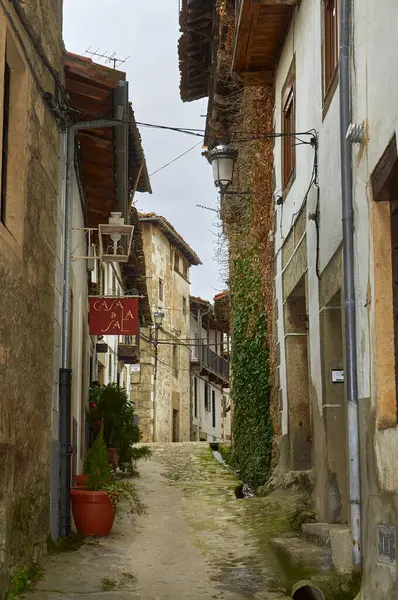Candelario 'da güzel bir cadde, akan su ve yemyeşil bitki örtüsüyle bir evin ön cephesinde, Candelario' da akan suyla birlikte pitoresk bir caddede.