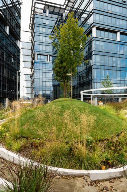 Çok katlı binaların arka planında yeşil çimlerle kaplı bir tepe..