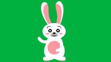 beautiful cute bunny standing on green screen. rabbit cartoon.
