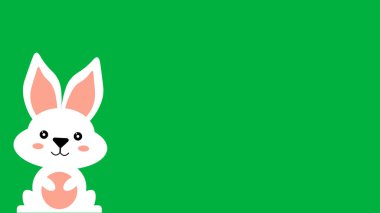 cute animated bunny on green background.