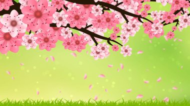 spring flower background with beautiful and smooth green background.