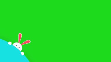 Yeşil arkaplanda basit bir tavşan izleme animasyonu