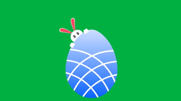Huevo Azul Grande Medio Conejito Viendo Animación Pantalla Verde — Vídeo de stock