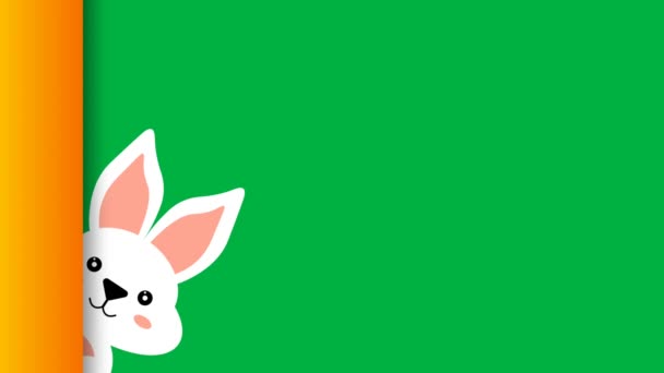 Красива Мила Анімація Кролика Зеленому Екрані — стокове відео