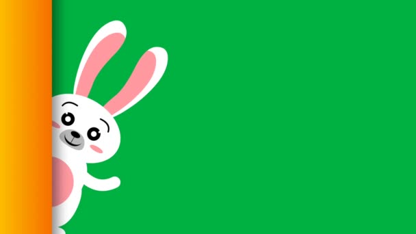 绿色屏幕上美丽可爱的兔子动画 — 图库视频影像